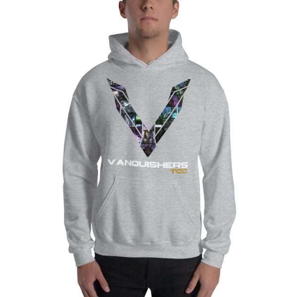 Cygon's Beginnings Big V Hoodie